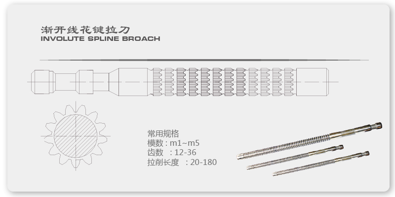 渐开线花键拉刀          技术参数